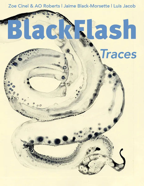 BlackFlash 42.1