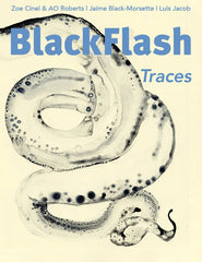 BlackFlash 42.1