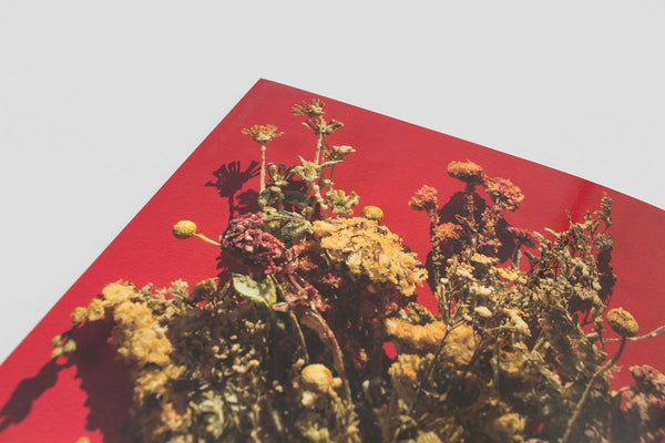 ANICKA YI: 6,070,430K OF DIGITAL SPIT