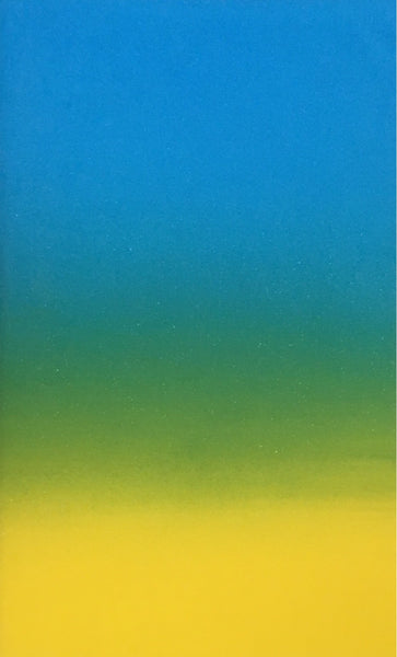 STAGES 2017 Notebook