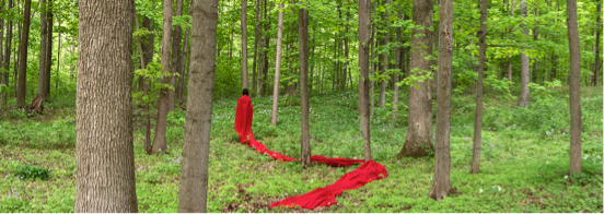 Gala artwork 2018: Melissa General