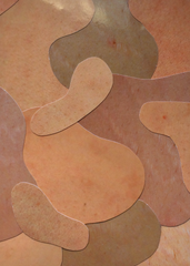 Gala artwork 2018: Sarah Stewart