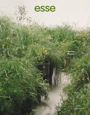 esse 99 | Plants