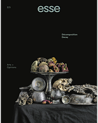 Esse 115 | Decay